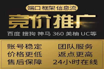 揭秘SEM竞价托管：实战案例深度解析